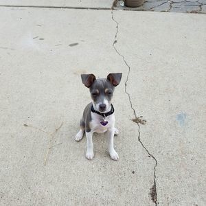 Meet your Posher, Vicki